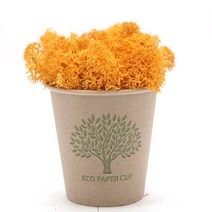 스칸디아모스 11색상! 천연이끼 공기정화!, 15g 스칸디아모스-어텀