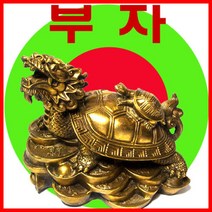 새끼업은 용귀거북이 소형 용거북이