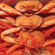 산지직송 동해 홍게 붉은대게 조업 입항 당일 생물 자숙(찜), 1박스, 15_홍게 박달형 고급 3마리(생물)