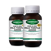 톰슨 밀크시슬 42000 60캡슐 2통 Thompson Milk Thistle, 2개, 200g