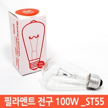 일광전구 백열전구 60W 100W ST55 E26 장식용 전구다마, 100W(1개당)
