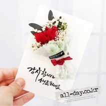 올데이 사랑합니다-카네이션 프리저브드 브로찌+카드, 레드