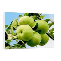 신원액자 사과캔버스액자 재물운을 부르는 사과액자 액자