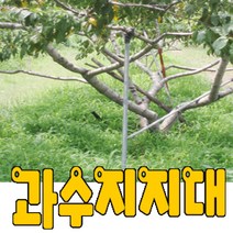 과수지지대 수목지지대, 1개