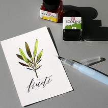 로얄탈렌스 에코라인 캘리그라피 수채화 잉크 48색, 필그린