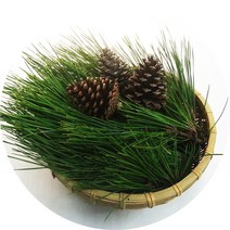청정 진도 자연산 솔잎 해송 솔잎차 야생솔잎 생솔잎, C. 생솔잎 300g(줄기O)