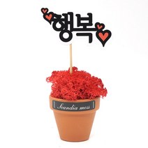스칸디아모스 천연이끼 공기정화 메세지픽 독일토분, 행복 독일토분 모스-레드