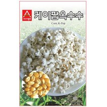 아시아종묘 옥수수씨앗 케이팝옥수수 (20g)