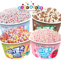 미니멜츠 쵸코바닐라16 아이스크림, 16개, 50g