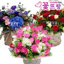 꽃뜨랑 생화꽃바구니 케익 생일선물 개업꽃 축하선물 전국당일꽃배달, 빼빼로세트(대)