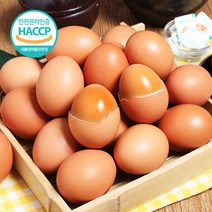 푸르젠 참숯돌에서 구운계란 (개당 45~50g 구운소금증정), 60개, (개당 45~50g)