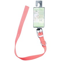 보스펫 나일론 칼라 애견 목줄, Neon Orange