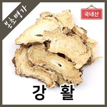 본초명가 강활, 1개, 300g