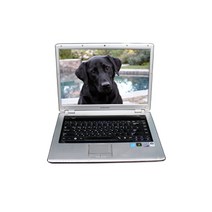 삼성 HP LG DELL 레노버 중고노트북 초 판매 할인전, 삼성센스R60/R510/P510, Free DOS