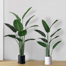 극락조 인테리어 나무(120cm)+무광 인테리어 화분(대), 축하합니다 리본 추가, 무광 인테리어화분-화이트(대17x18)