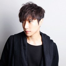 가발닷컴 남자가발 정수리탈모 인모 부분가발 투블럭위그 12종, 10. 스핀 스왈로펌 M사이즈 자연갈색, 1개