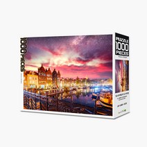 썬앤트리 직소퍼즐 암스트레담의 도시야경 HP1016, 단일, 1000피스
