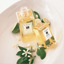 프래그런스 오일_향수향_라임바질만다린 20ml