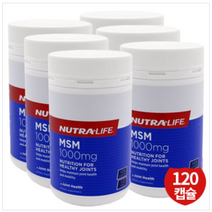 [해외]뉴질랜드 뉴트라라이프 MSM(식이유황) 1000mg 120캡슐, 6병