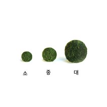 그린테라피 LED 마리모 세트 푸딩병 국내산 마리모 애완식물, 추가구성