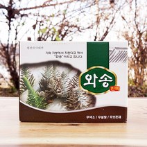 웰빙 와송즙 바위솔 생와송 진액 차 엑기스 국내산 와송즙 100ml 60p, 100