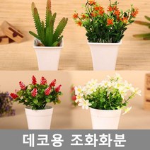kapoo 푸릇푸릇 4계절내내 푸른 조화+화분, 16.소국