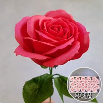 블랙앤화이트 비누꽃 왕장미 25p + 잎사귀꽃대, 빨강