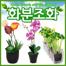 호가 화분조화 호접란 장미 인테리어 조화 화분 장식, 포인트 화분조화 데이지 옐로우(-2400원)