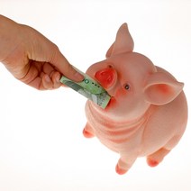부자되는 리얼 돼지저금통