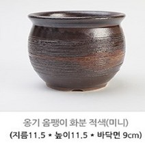옹기화분 11.1 옹기 옴팽이화분-미니