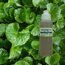 아로마케이 추출물(EXT) 비누 화장품 재료 천연비누만들기, 병풀추출물100ml