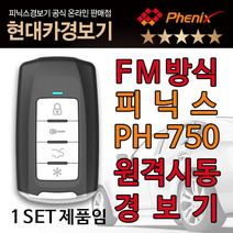 피닉스 원격시동경보기, 1세트, 피닉스FM경보기 750(풀옵형)
