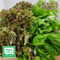하늘농부 친환경 적상추 청상추 골라담기 상추 150g, 1봉, 혼합상추 150g