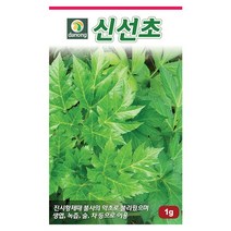 갑조네 민속특수 씨앗 모음, 신선초(씨앗), 1개