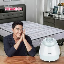 스팀보이