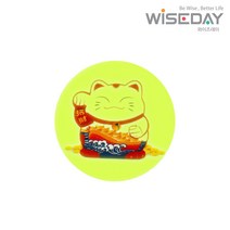 와이즈데이 자석 철판 마그네틱 플레이트, 야광냥3cm, 1개