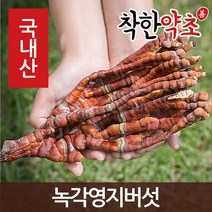 국내산 녹각영지버섯 200g, 1개