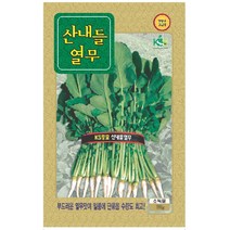 엽채류씨앗 산내들 열무 25g