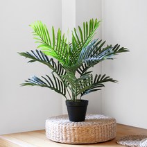 NEW 아레카야자 인테리어 조화 나무(60cm), 무광 인테리어 화분(중)-모카그레이, 축하합니다 리본 추가