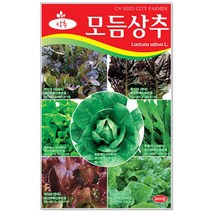 청농종묘 적환20일무 씨앗 600립 - 붉은무 빨간무 래디시 씨, 07_모듬상추(3000립)