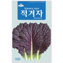 청농종묘 적겨자 씨앗 2000립 채소씨앗 겨자씨 씨 쌈채소씨앗, 03_적겨자(2000립)