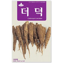 청농종묘 적환20일무 씨앗 600립 - 붉은무 빨간무 래디시 씨, 19_더덕(1500립)