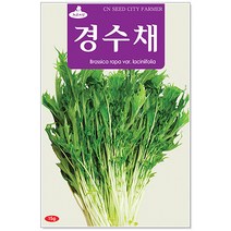 청농종묘 봄동 씨앗 20g 봄동씨 봄동씨앗 봄동배추 배추씨앗, 25_경수채(15g)