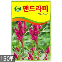 금계국 40립 - 금계국씨 금계국씨앗 꽃씨 꽃씨앗 씨 씨앗 야생화씨앗, 09_청농_맨드라미(150립)