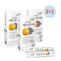 프로엠 [3+1] 유기농 진한 배도라지액 스틱 (10ml x 10포*4), 1팩, 100ml