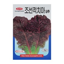 경신종묘 상추씨앗 조선적치마상추 8g