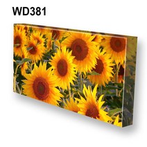 몽차 해바라기 캔버스액자 액자, WD381