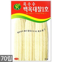 청농종묘 보라색 찰옥수수 씨앗 70립 옥수수씨앗 옥수수씨 찰옥수수씨앗 옥수수, 05_백옥대찰1호옥수수(70립)