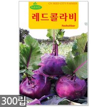 청농종묘 황백 초당옥수수 씨앗 100립 초당옥수수씨앗 옥수수씨앗 초당옥수수씨 옥수수씨, 05_레드콜라비(300립)