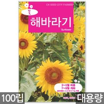 청농종묘 봉선화 씨앗 500립 봉선화씨앗 봉숭아씨앗 꽃씨앗 꽃 꽃씨 야생화씨앗 야생화 야생꽃씨, 17_대용량_해바라기(100립)